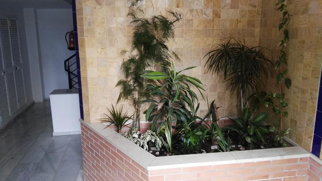 Fan Flat Eugenio (Adults Only) Lejlighed Málaga Eksteriør billede